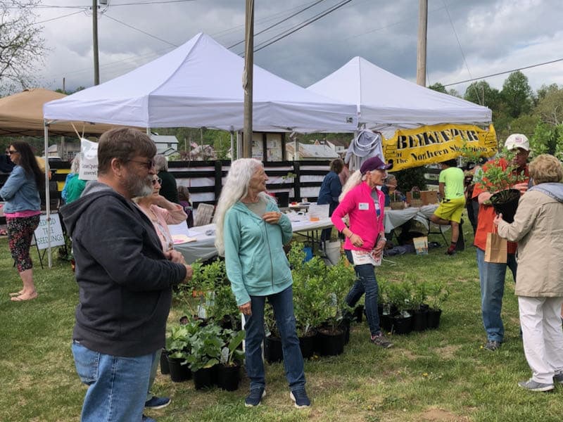 plant sales