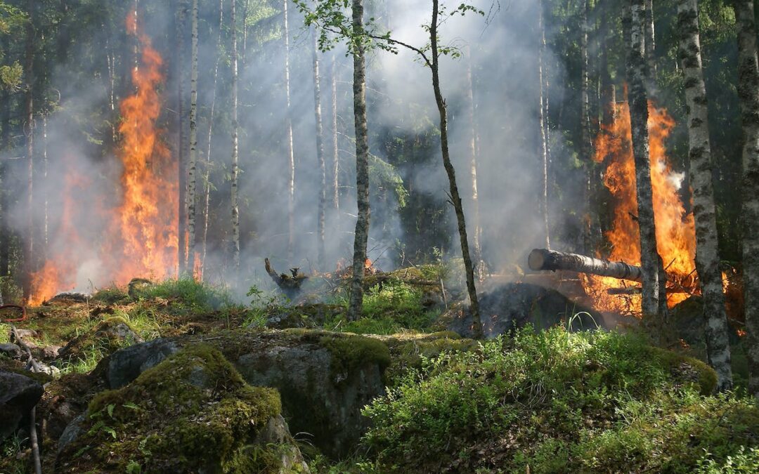 Fall Wildfire Season